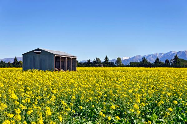 Sir Bob Charles' farm